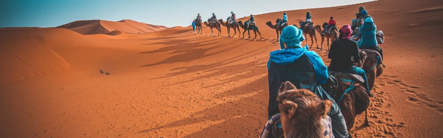Desert Adventures: A Perfect Day Trip into Kuwait’s Golden Sands