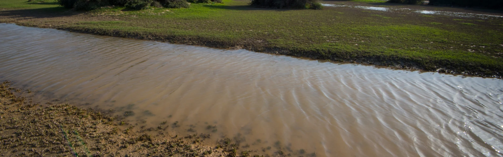 Relax with a Day at Al Jahra Pools Nature Reserve