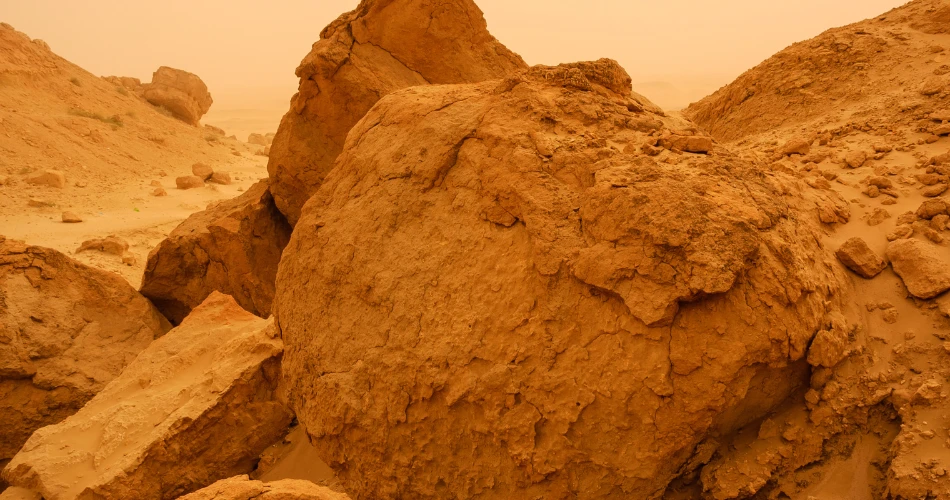 Alam & Hidupan Liar dalam Perjalanan Sehari ke Puncak Al Mutlaa