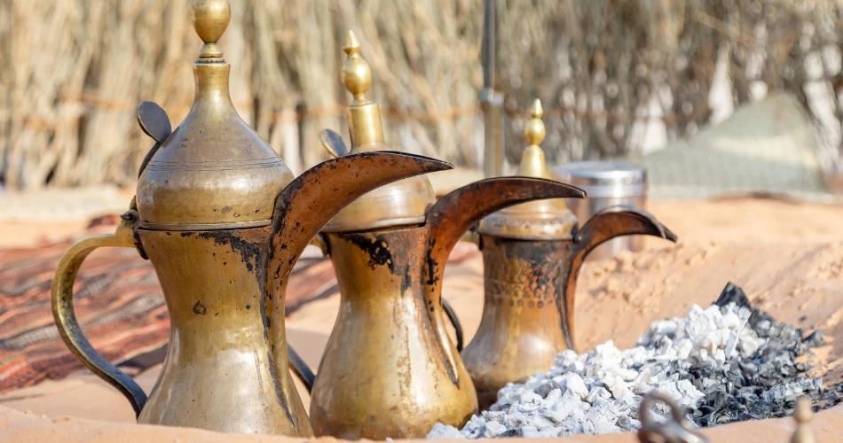 Day Trip to the Kuwait Camel Racing Track