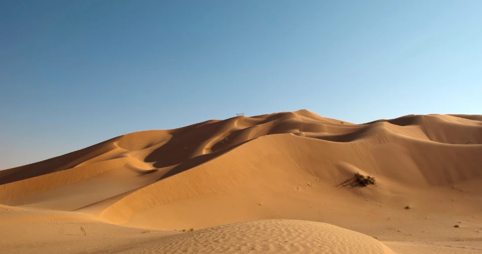 Explore Historical Forts on a Day Trip to Al Jahra Red Fort