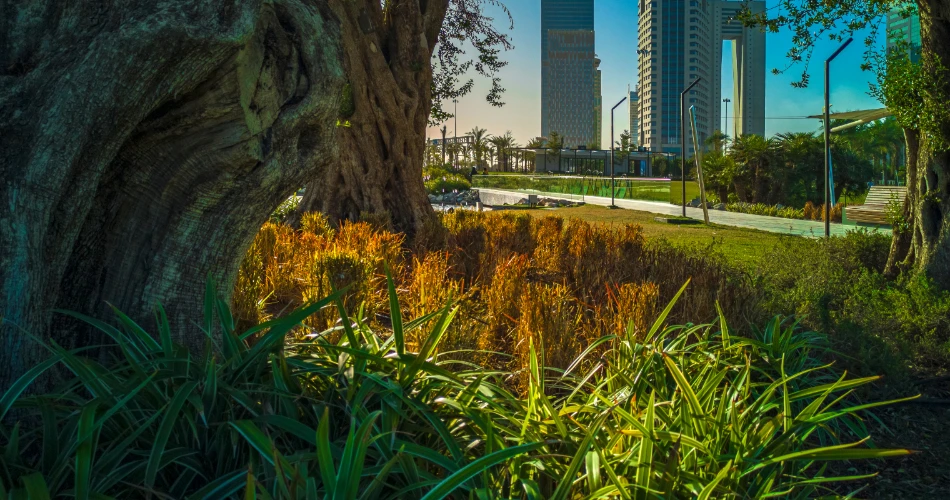 Unveiling Kuwait: Top Hidden Gems Tourists Rarely Discover