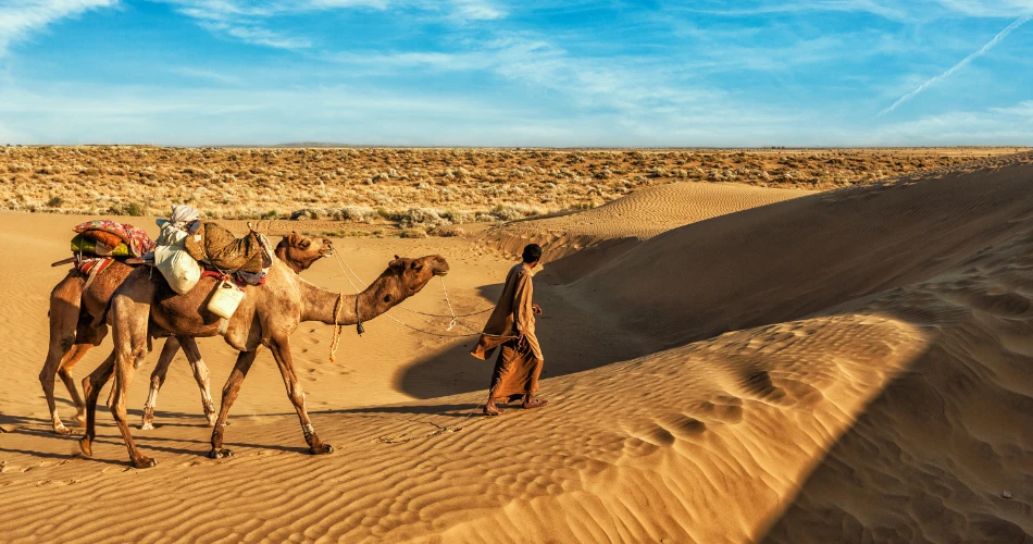 Desert Adventures: A Perfect Day Trip into Kuwait’s Golden Sands